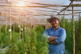 Farmer smiles near cannabis crop