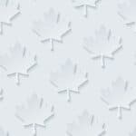 Canadian Red maple leaves seamless wallpaper pattern