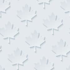 Canadian Red maple leaves seamless wallpaper pattern