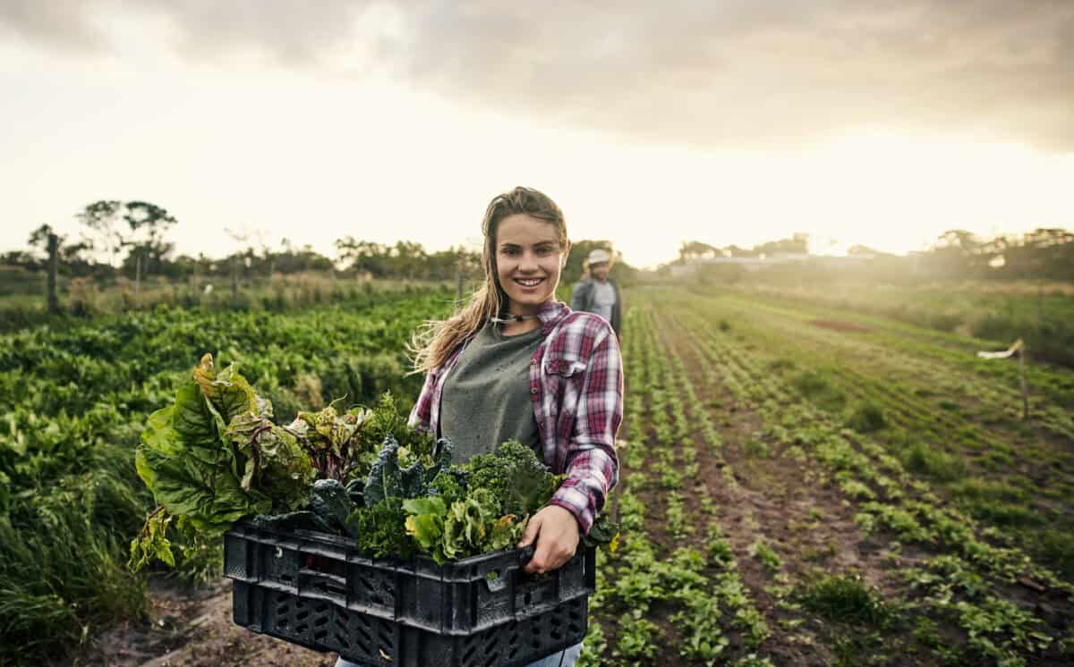 farmer holds box of leafy greens