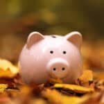 Piggy bank in autumn leaves