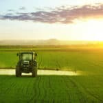 Tractor spraying a field of wheat