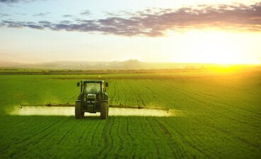 Tractor spraying a field of wheat