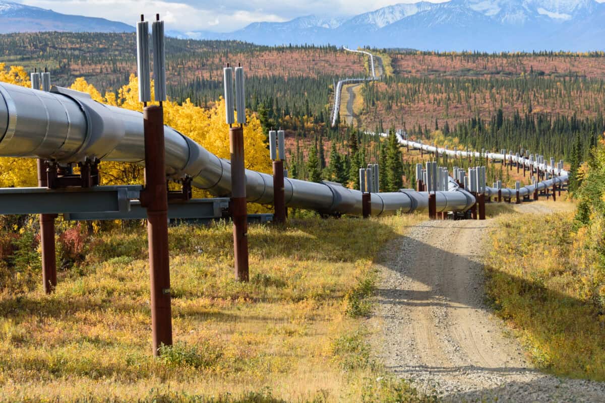 Trans Alaska Pipeline with Autumn Colors