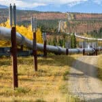 Trans Alaska Pipeline with Autumn Colors